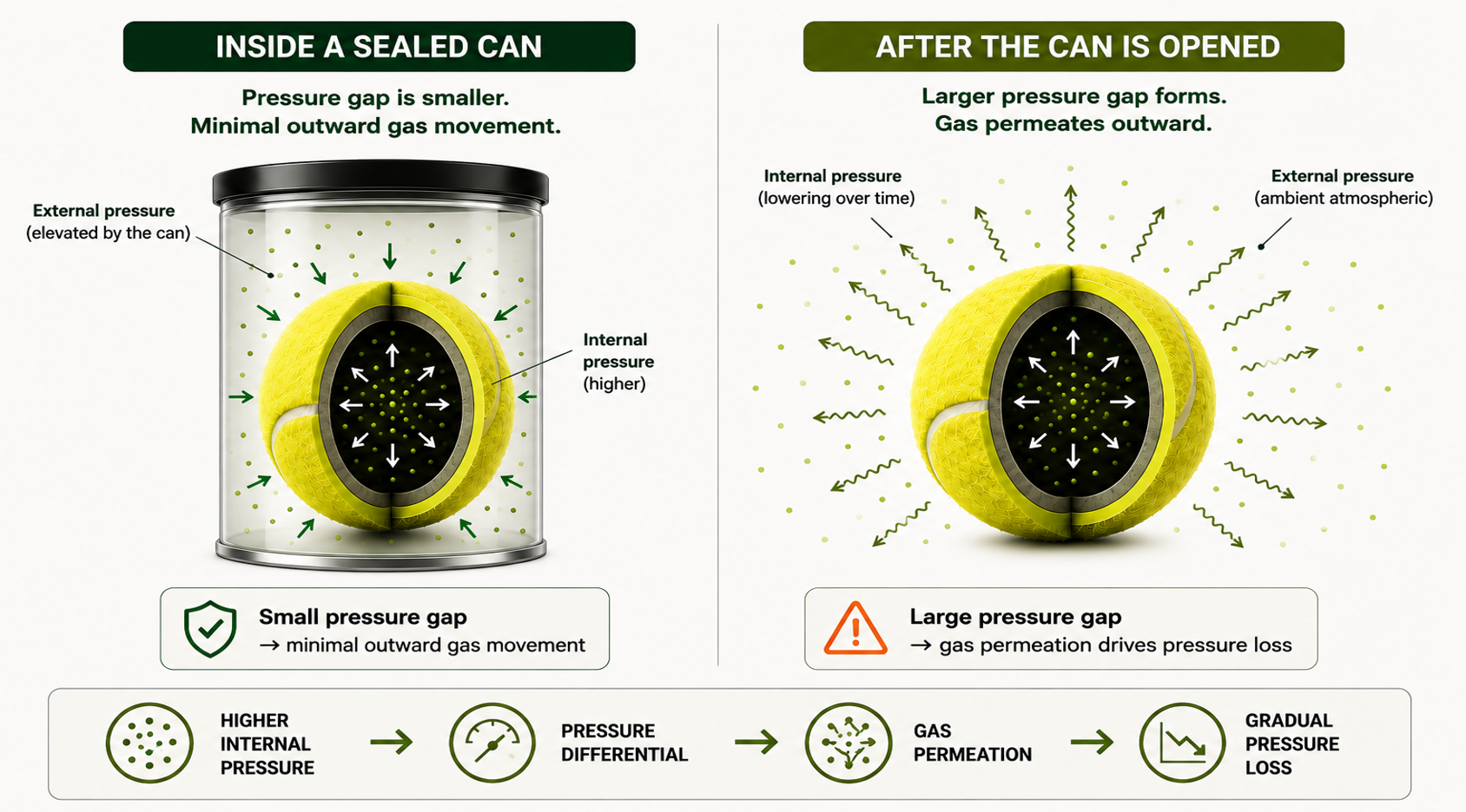 Diagram comparing a sealed tennis ball can with minimal gas movement to an opened can where pressure differential drives gas permeation outward